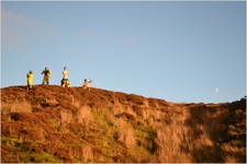 Thumbnail of photo from this article